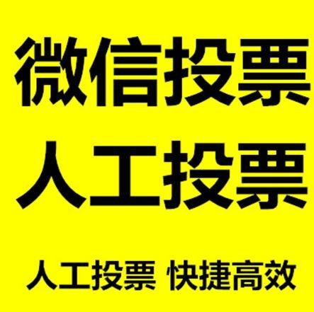 鞍山市投票活动拉票能被查出来吗？如何操作能不被发现？